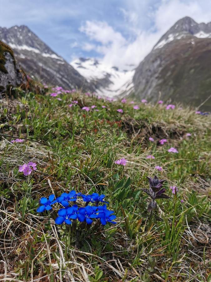 Apartmán Tgesa Dutg Grond Sedrun Exteriér fotografie