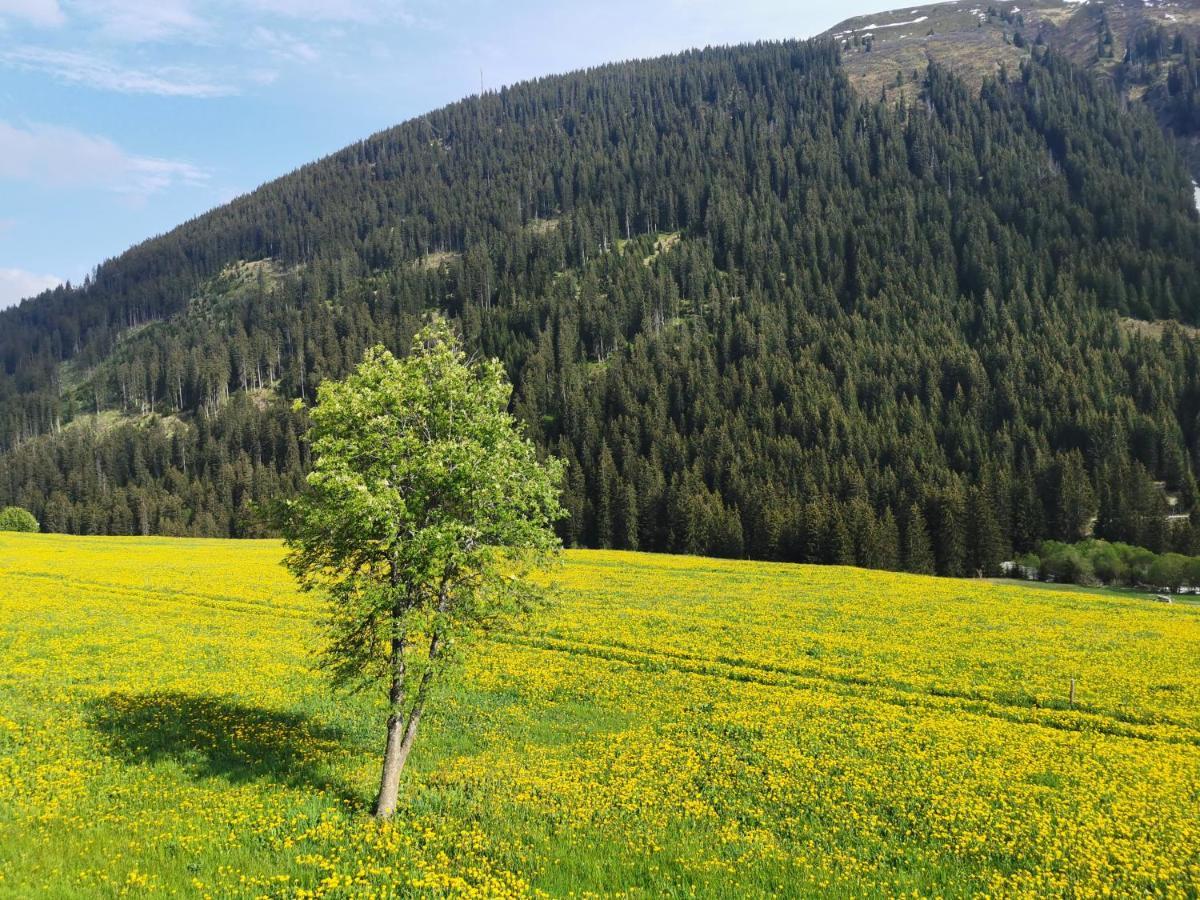Apartmán Tgesa Dutg Grond Sedrun Exteriér fotografie