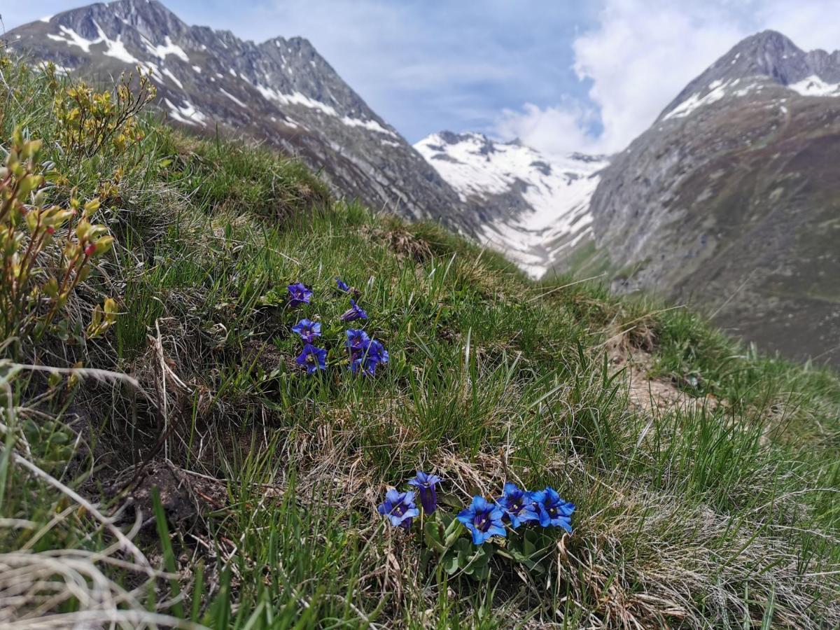 Apartmán Tgesa Dutg Grond Sedrun Exteriér fotografie