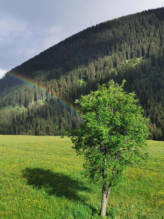 Apartmán Tgesa Dutg Grond Sedrun Exteriér fotografie
